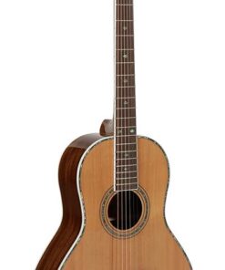 Richwood RV70-NT akoestische gitaar